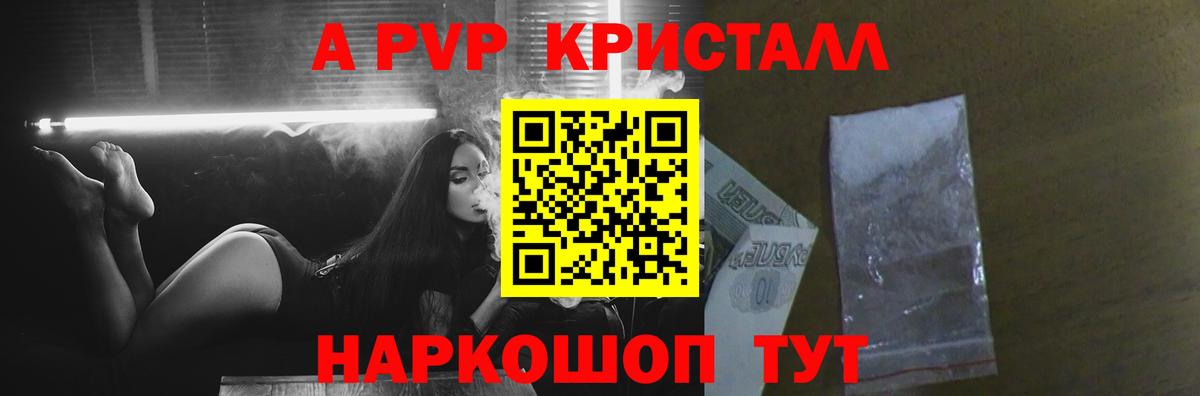 А ПВП СК Кузнецк