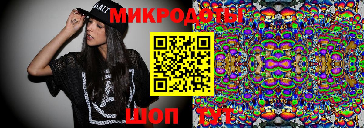 Псилоцибиновые грибы Psilocybine cubensis Кузнецк